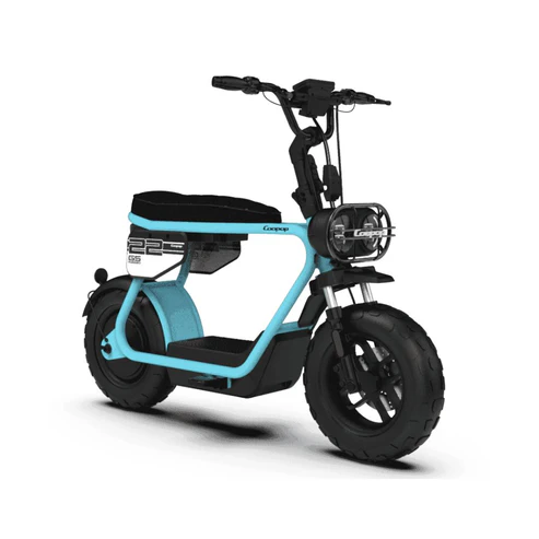 E ride pro sr